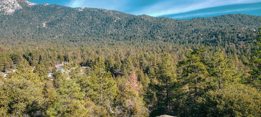 California Pandemic Travel Wish List