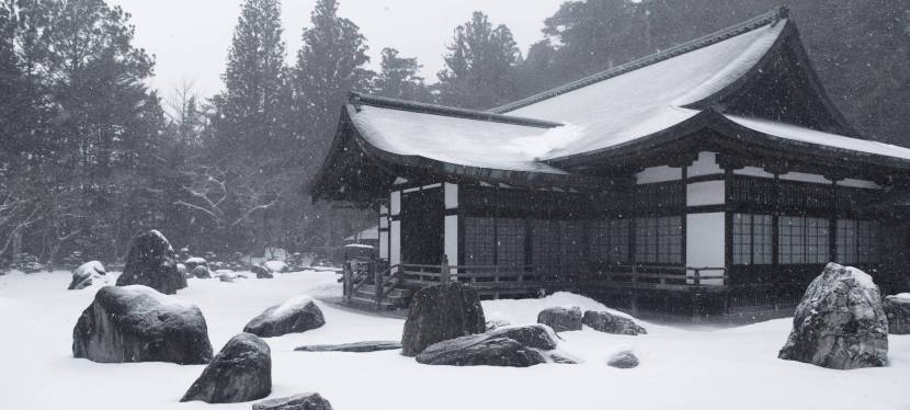 The Start of a&nbsp;Journey