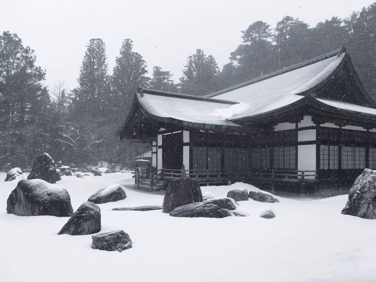 The Start of a&nbsp;Journey