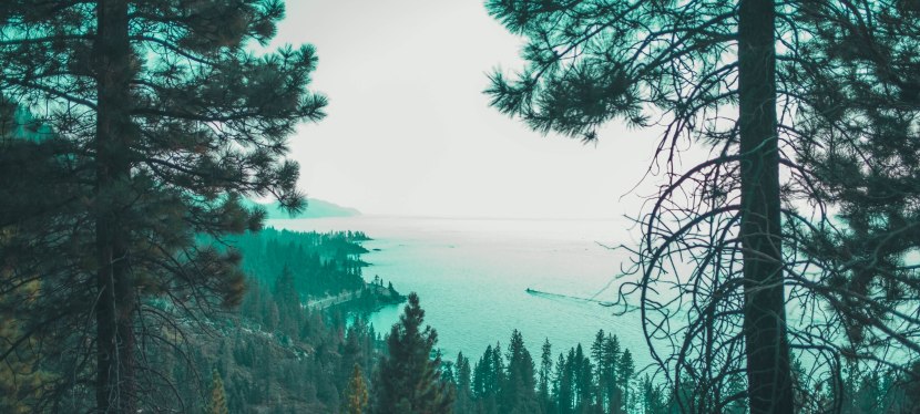 A Quaint Summer Retreat – Lake Tahoe