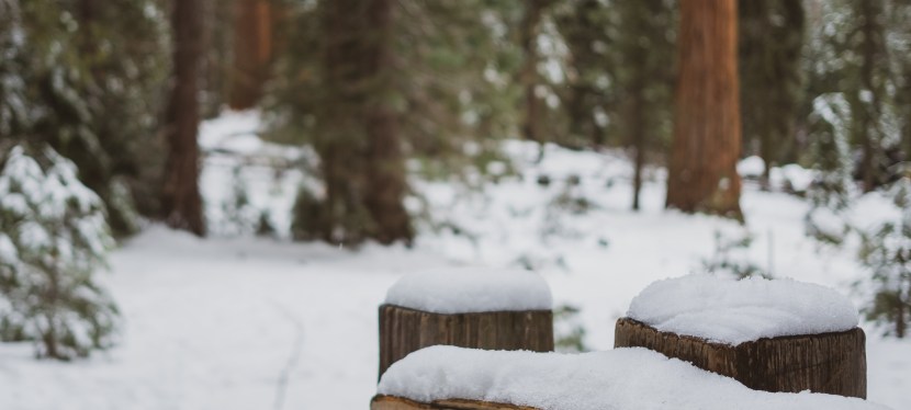 A Winter Paradise – Sequoia National&nbsp;Park