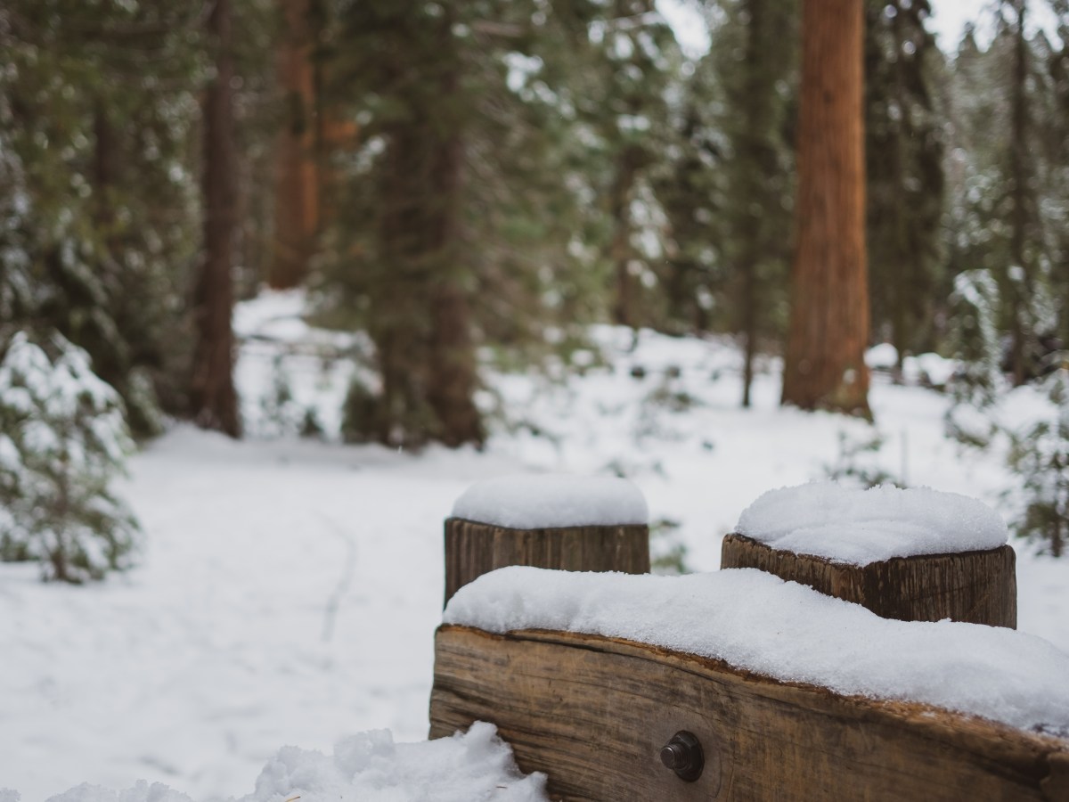 A Winter Paradise – Sequoia National&nbsp;Park